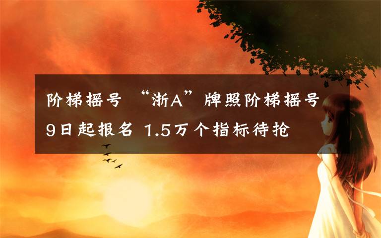 阶梯摇号 “浙A”牌照阶梯摇号9日起报名 1.5万个指标待抢