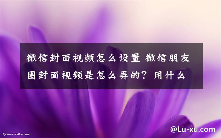 微信封面视频怎么设置 微信朋友圈封面视频是怎么弄的？用什么app软件做的？