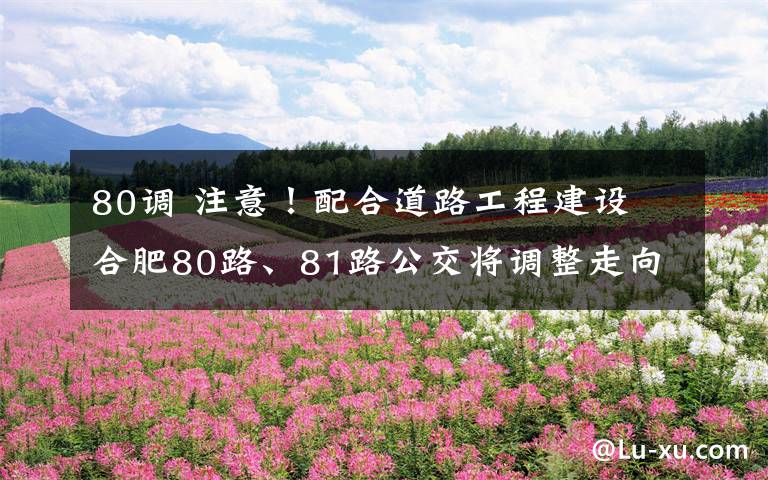 80调 注意！配合道路工程建设 合肥80路、81路公交将调整走向
