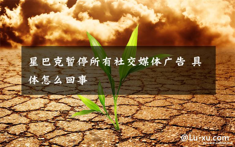 星巴克暂停所有社交媒体广告 具体怎么回事