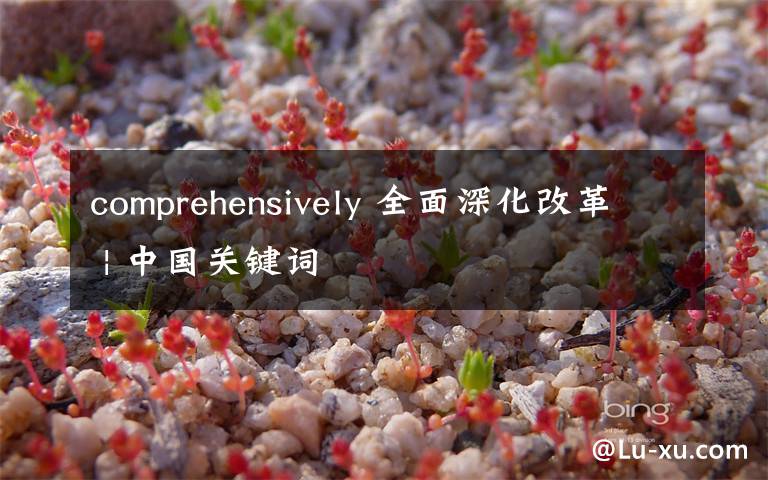 comprehensively 全面深化改革 | 中国关键词