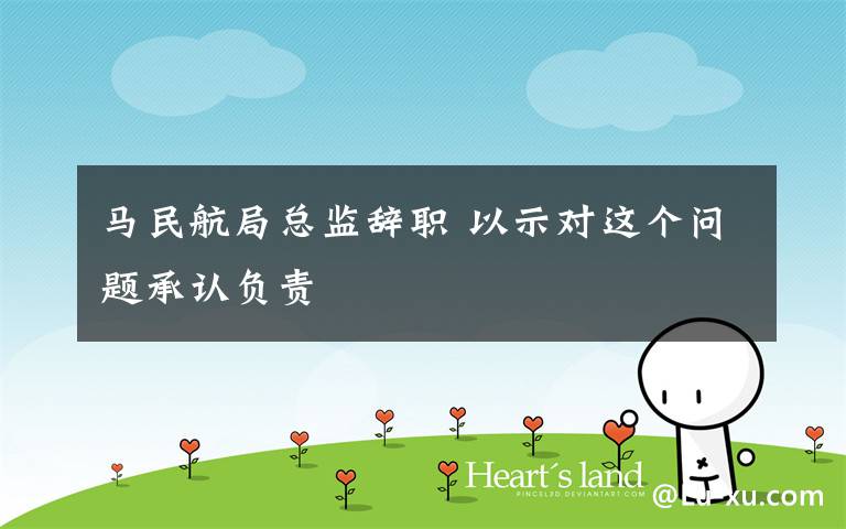 马民航局总监辞职 以示对这个问题承认负责