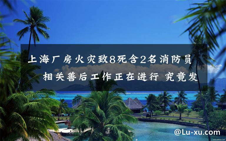 上海厂房火灾致8死含2名消防员  相关善后工作正在进行 究竟发生了什么?