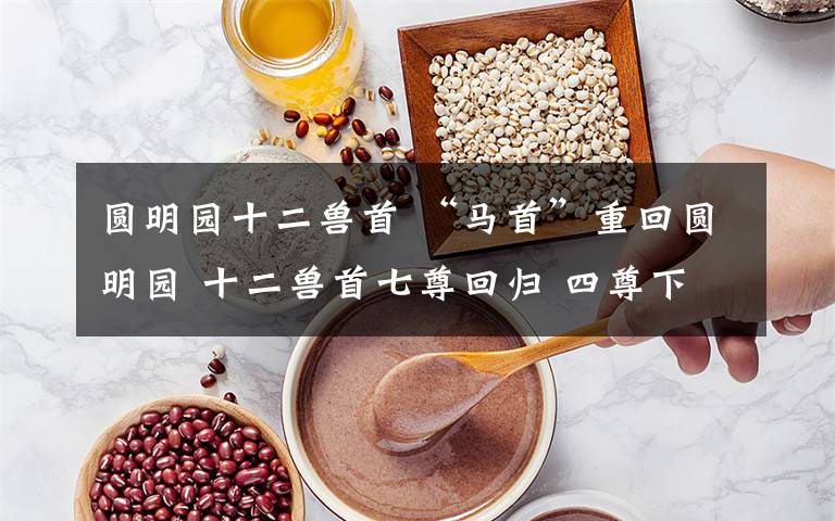 圆明园十二兽首 “马首”重回圆明园 十二兽首七尊回归 四尊下落不明
