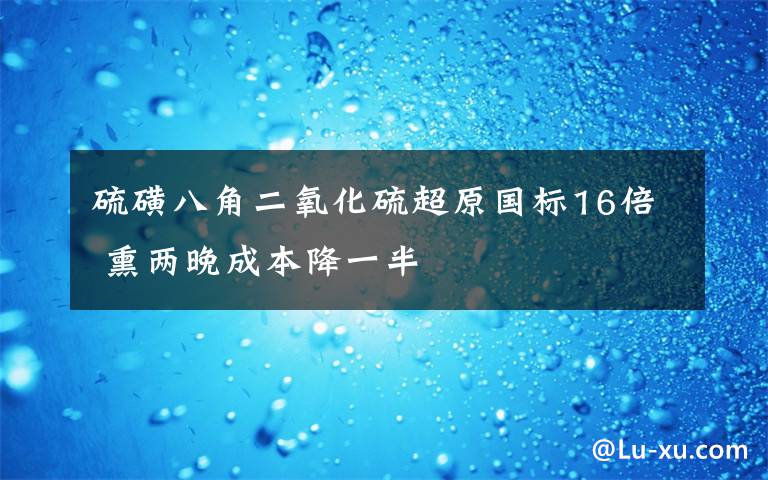 硫磺八角二氧化硫超原国标16倍 熏两晚成本降一半