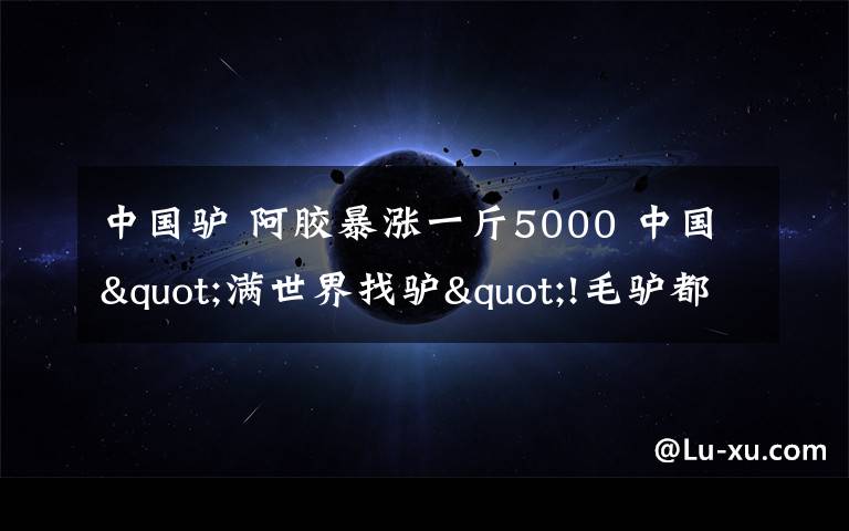 中国驴 阿胶暴涨一斤5000 中国"满世界找驴"!毛驴都去哪儿了?