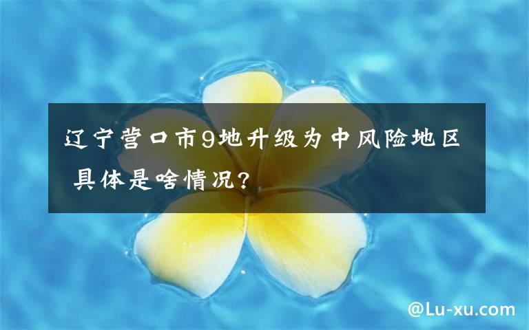 辽宁营口市9地升级为中风险地区 具体是啥情况?