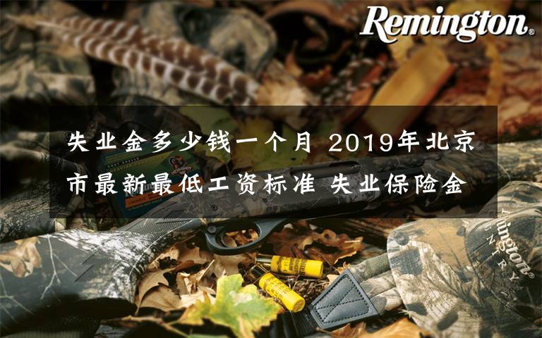 失业金多少钱一个月 2019年北京市最新最低工资标准 失业保险金标准一个月多少钱