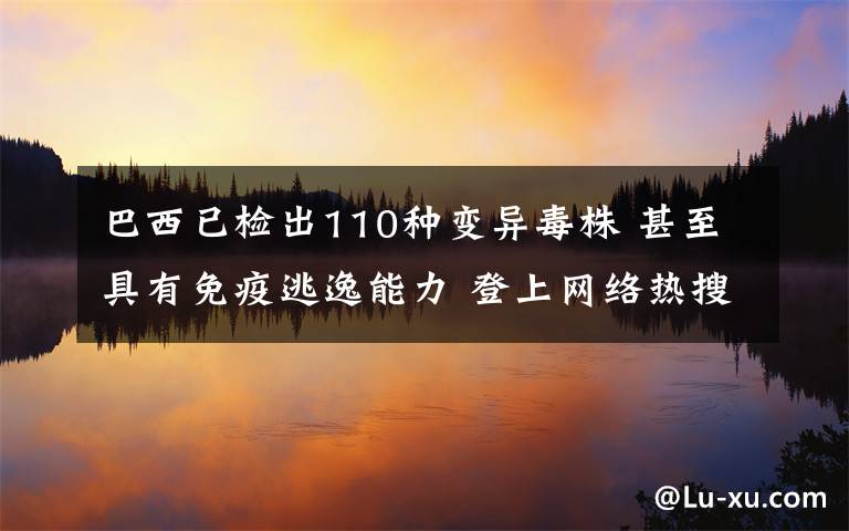 巴西已检出110种变异毒株 甚至具有免疫逃逸能力 登上网络热搜了！