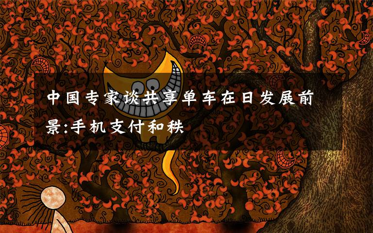 中国专家谈共享单车在日发展前景:手机支付和秩