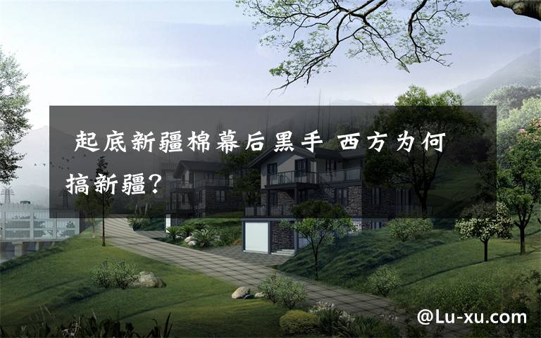  起底新疆棉幕后黑手 西方为何搞新疆？