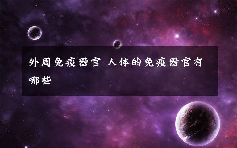 外周免疫器官 人体的免疫器官有哪些