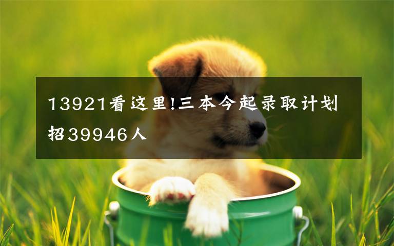 13921看这里!三本今起录取计划招39946人
