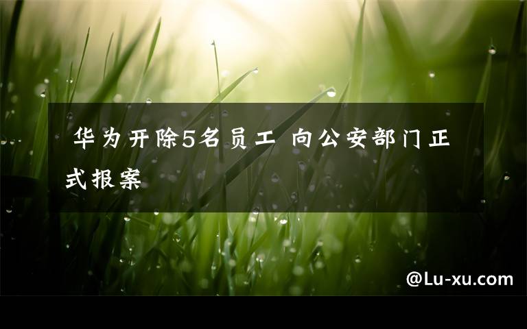  华为开除5名员工 向公安部门正式报案