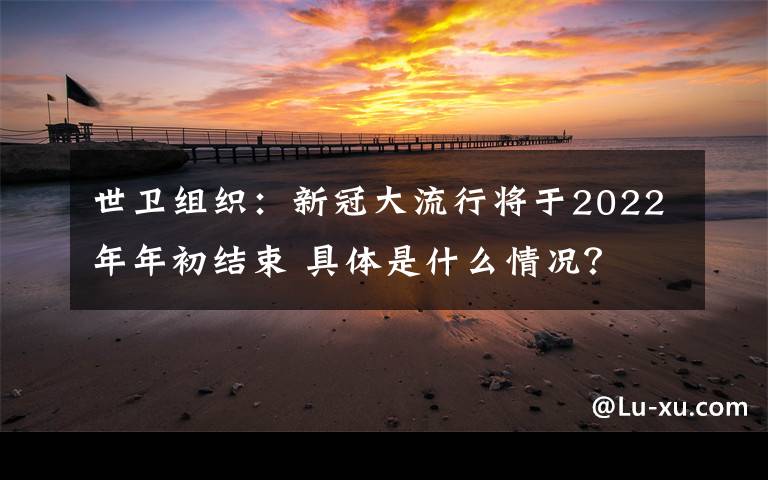 世卫组织：新冠大流行将于2022年年初结束 具体是什么情况？