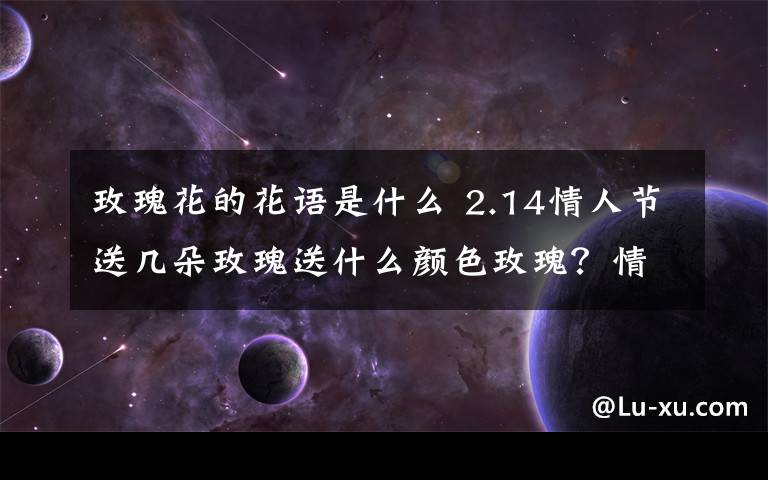 玫瑰花的花语是什么 2.14情人节送几朵玫瑰送什么颜色玫瑰？情人节送玫瑰花的花语大全