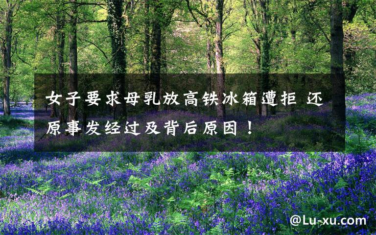 女子要求母乳放高铁冰箱遭拒 还原事发经过及背后原因！