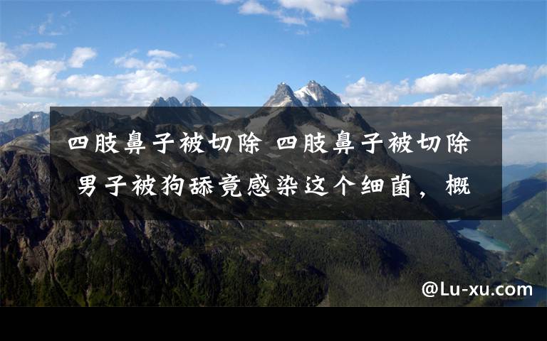 四肢鼻子被切除 四肢鼻子被切除 男子被狗舔竟感染这个细菌，概率不足1%！
