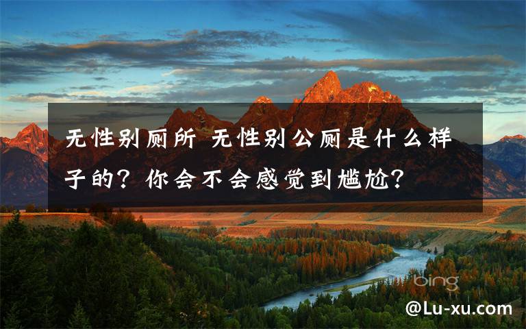 无性别厕所 无性别公厕是什么样子的？你会不会感觉到尴尬？