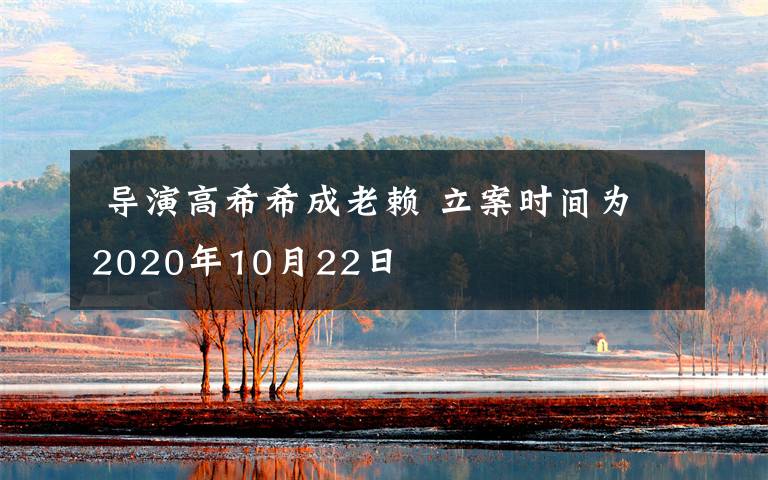  导演高希希成老赖 立案时间为2020年10月22日