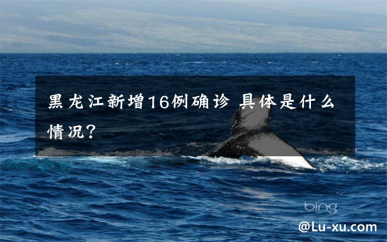 黑龙江新增16例确诊 具体是什么情况？