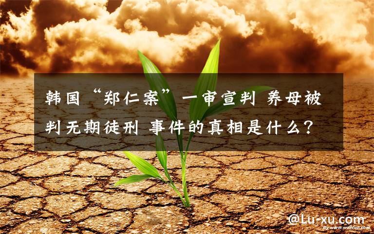 韩国“郑仁案”一审宣判 养母被判无期徒刑 事件的真相是什么？