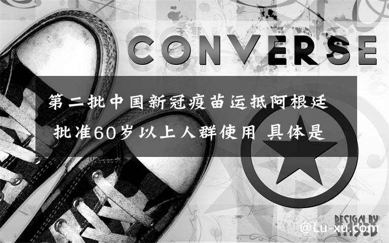 第二批中国新冠疫苗运抵阿根廷 批准60岁以上人群使用 具体是什么情况？