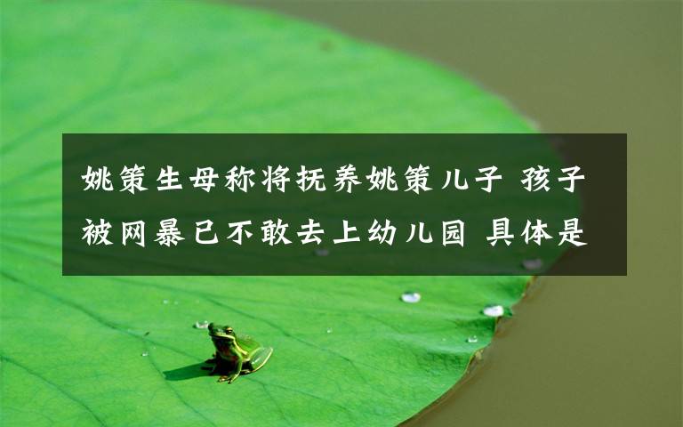 姚策生母称将抚养姚策儿子 孩子被网暴已不敢去上幼儿园 具体是什么情况？