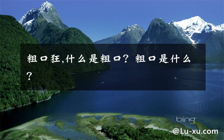 粗口狂,什么是粗口？粗口是什么？