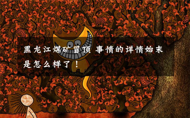黑龙江煤矿冒顶 事情的详情始末是怎么样了！