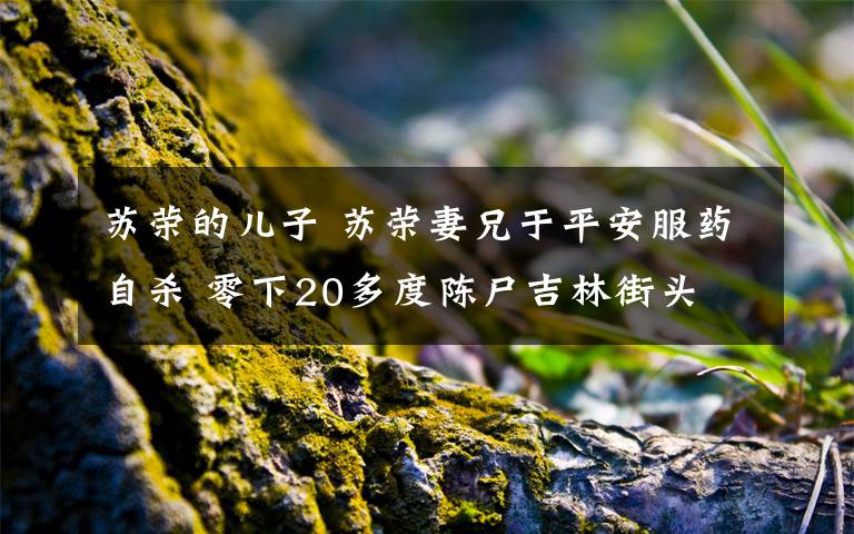 苏荣的儿子 苏荣妻兄于平安服药自杀 零下20多度陈尸吉林街头