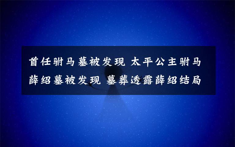 首任驸马墓被发现 太平公主驸马薛绍墓被发现 墓葬透露薛绍结局