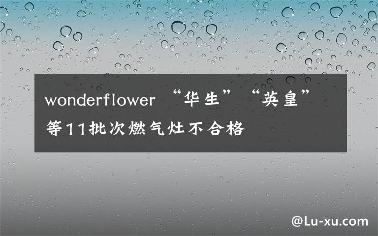 wonderflower “华生”“英皇”等11批次燃气灶不合格