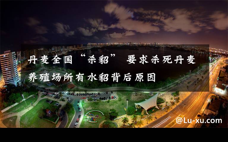 丹麦全国“杀貂” 要求杀死丹麦养殖场所有水貂背后原因