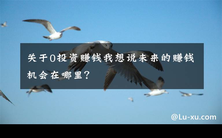 关于0投资赚钱我想说未来的赚钱机会在哪里？