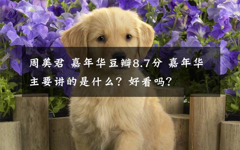 周美君 嘉年华豆瓣8.7分 嘉年华主要讲的是什么？好看吗？