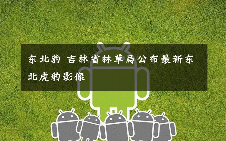 东北豹 吉林省林草局公布最新东北虎豹影像