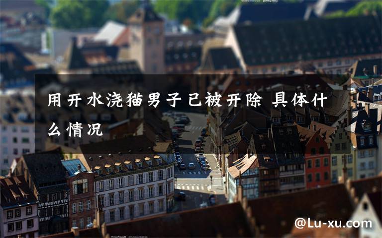 用开水浇猫男子已被开除 具体什么情况