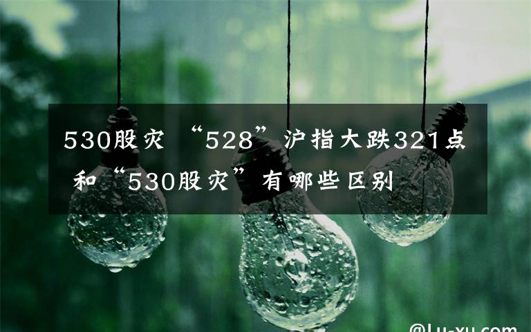 530股灾 “528”沪指大跌321点 和“530股灾”有哪些区别