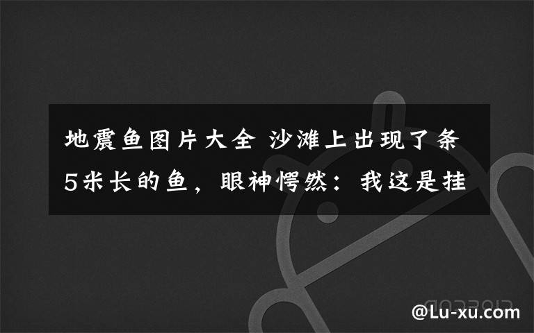 地震鱼图片大全 沙滩上出现了条5米长的鱼，眼神愕然：我这是挂了吗