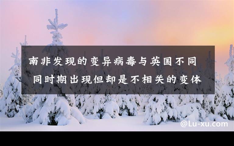 南非发现的变异病毒与英国不同 同时期出现但却是不相关的变体