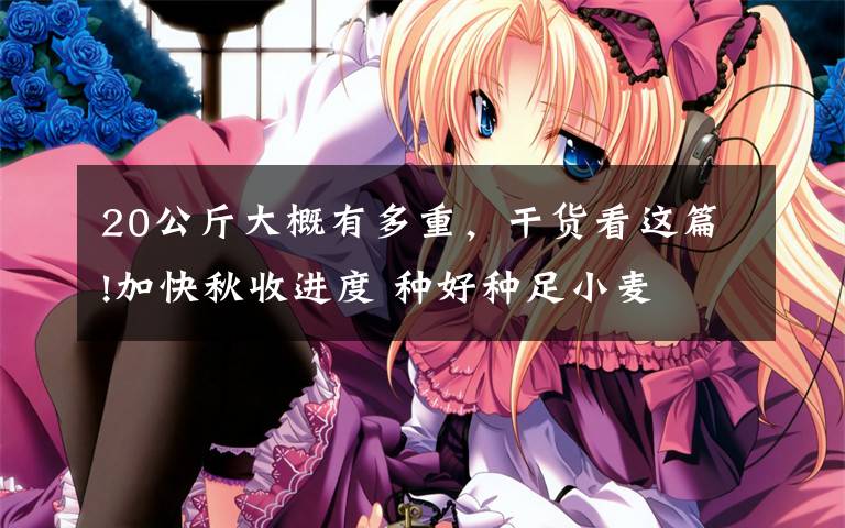 20公斤大概有多重，干货看这篇!加快秋收进度 种好种足小麦
