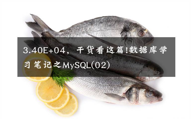 3.40E+04，干货看这篇!数据库学习笔记之MySQL(02)