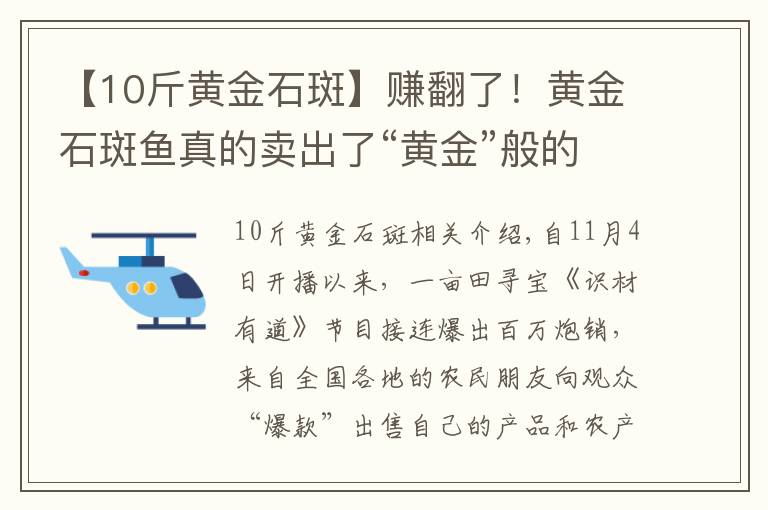 【10斤黄金石斑】赚翻了！黄金石斑鱼真的卖出了“黄金”般的价值，一亩田寻宝的大赢家