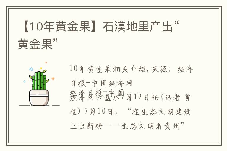 【10年黄金果】石漠地里产出“黄金果”