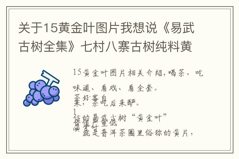 关于15黄金叶图片我想说《易武古树全集》七村八寨古树纯料黄金叶大全（7.5斤/套）