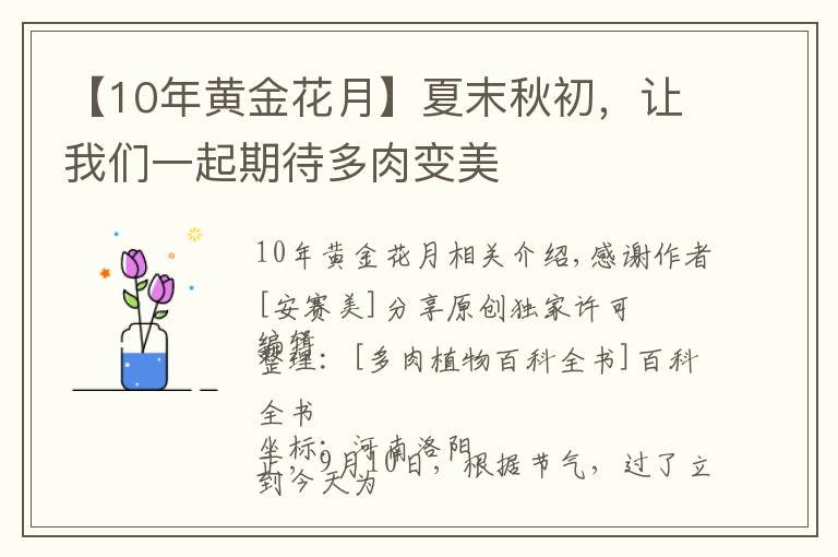 【10年黄金花月】夏末秋初，让我们一起期待多肉变美