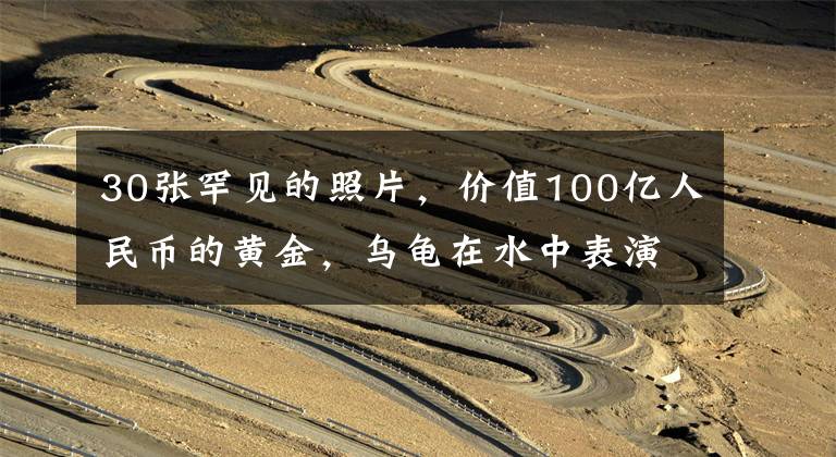 30张罕见的照片，价值100亿人民币的黄金，乌龟在水中表演杂技