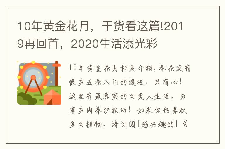 10年黄金花月，干货看这篇!2019再回首，2020生活添光彩