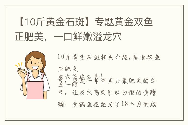 【10斤黄金石斑】专题黄金双鱼正肥美，一口鲜嫩溢龙穴